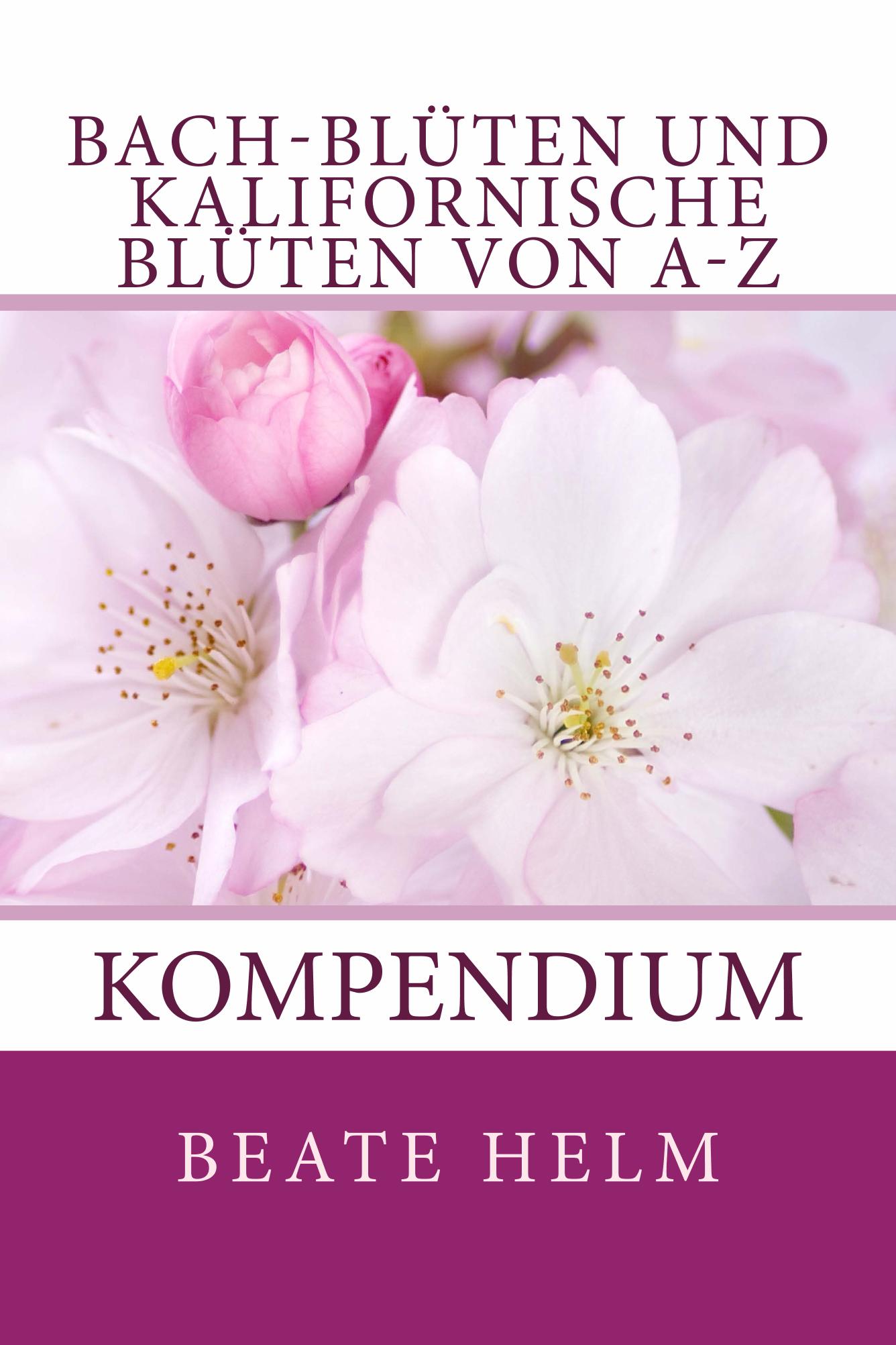 kompendium 